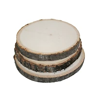 Wilson® Enterprises 4" Basswood Coasters, 8ct.