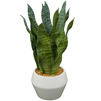 The Novogratz 15" Green Snake Faux Foliage Artificial Plant with White Porcelain Pot