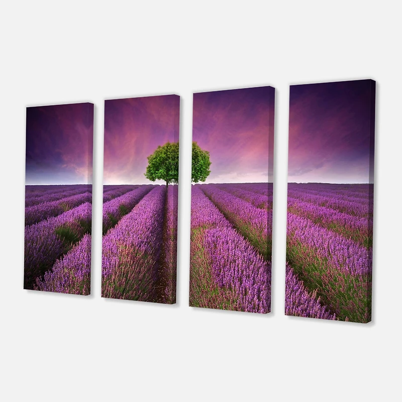 Designart - Lavender Field Sunset with Single Tree