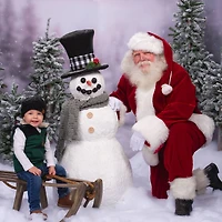 3ft., 4ft, & 5ft. Unlit Flocked Alpine Artificial Christmas Tree Set