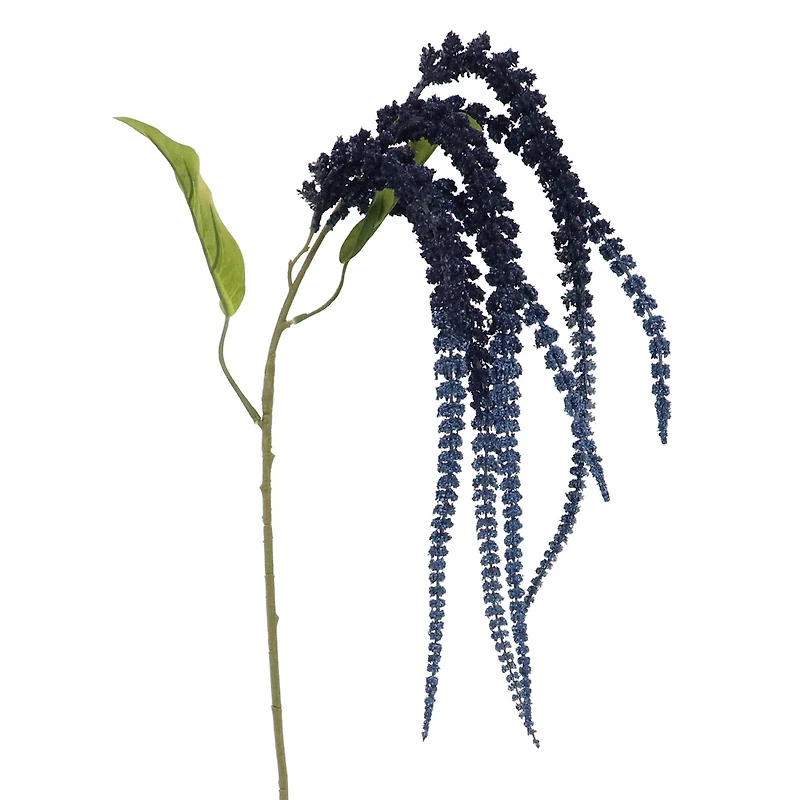 Dark Blue Amaranthus Stem by Ashland®