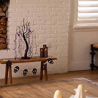 2ft. Pre-Lit Halloween Artificial Black Spooky Spider Willow Tree with 60 Orange & Purple LED Lights