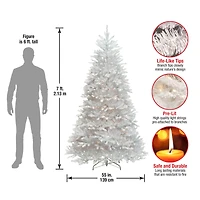 7ft. Prelit Dunhill® White Fir Artificial Christmas Tree, Clear Lights