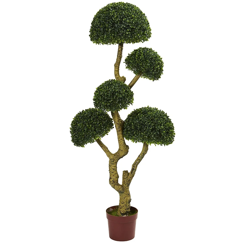 5ft. Potted Boxwood Tree
