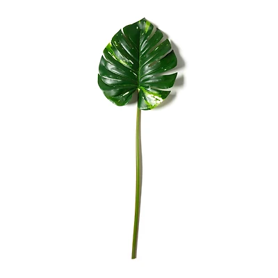 Monstera Leaf Stem by Ashland®