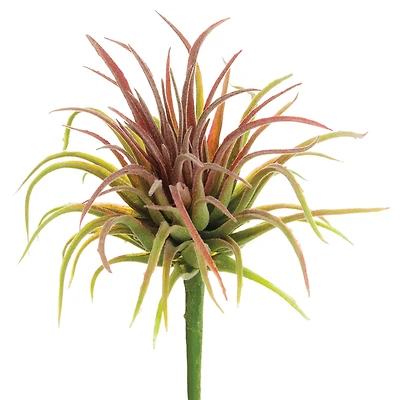 Red & Green Tillandsia Pick