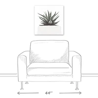 Muted Aloe Plant 20" x 20" Canvas Wall Art