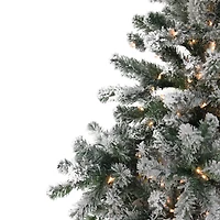 6.5ft. Pre-Lit Flocked Natural Emerald Medium Artificial Christmas Tree, Clear Lights