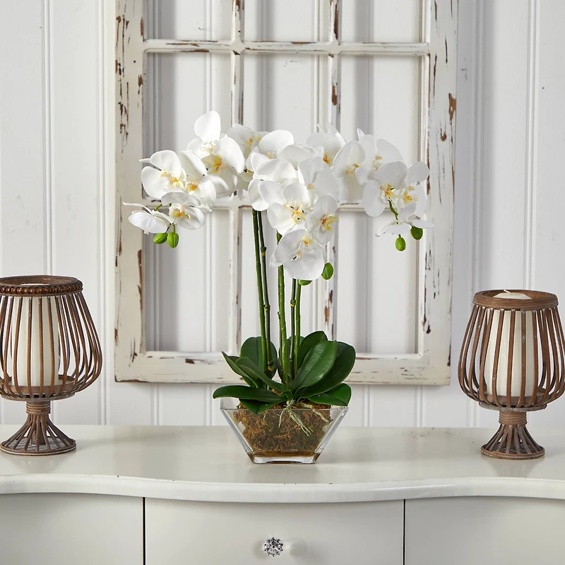 22" White Triple Orchid in Glass Vase
