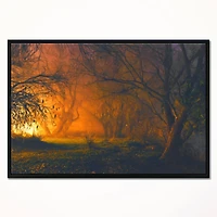 Designart - Magical Light in Forest