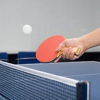 Toy Time Table Tennis Set