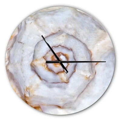 Designart Great Skeleton Of Sea Shell Modern Wall Clock