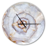 Designart Great Skeleton Of Sea Shell Modern Wall Clock