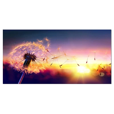 Designart - Dandelion at Sunset Freedom to Wish - Oversized Abstract Canvas Art Print