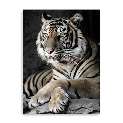 Sumatran Tiger Canvas Giclee
