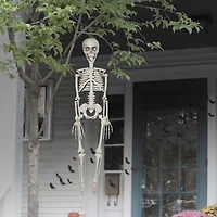 35" Hanging Skeleton by Ashland®