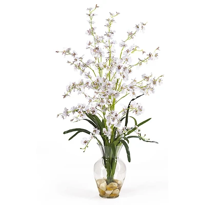 31" Dancing Lady Orchid Flower Arrangement in Glass Vase