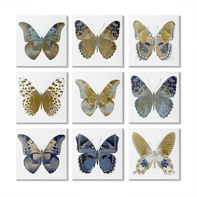 Stupell Industries Intricate Butterfly Wing Patterns Blue Brown Tan Canvas Wall Art, 12" x 12"