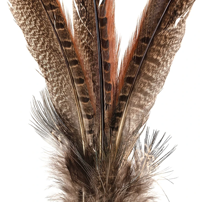 Pheasant Feather Picks by Ashland®