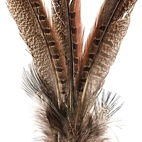 Pheasant Feather Picks by Ashland®