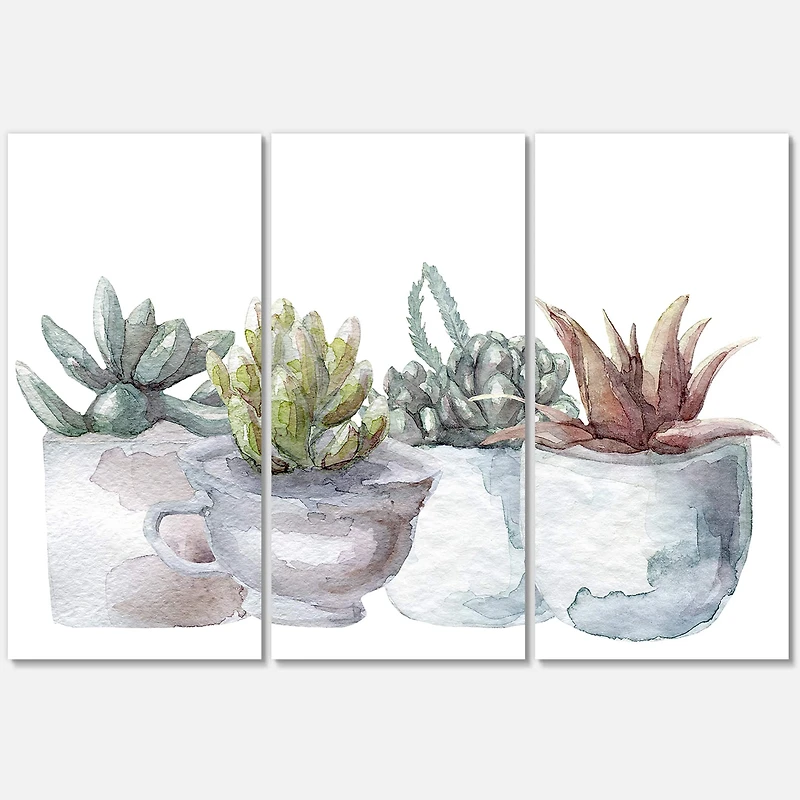Designart - Cactus and Succulent House Plants IV