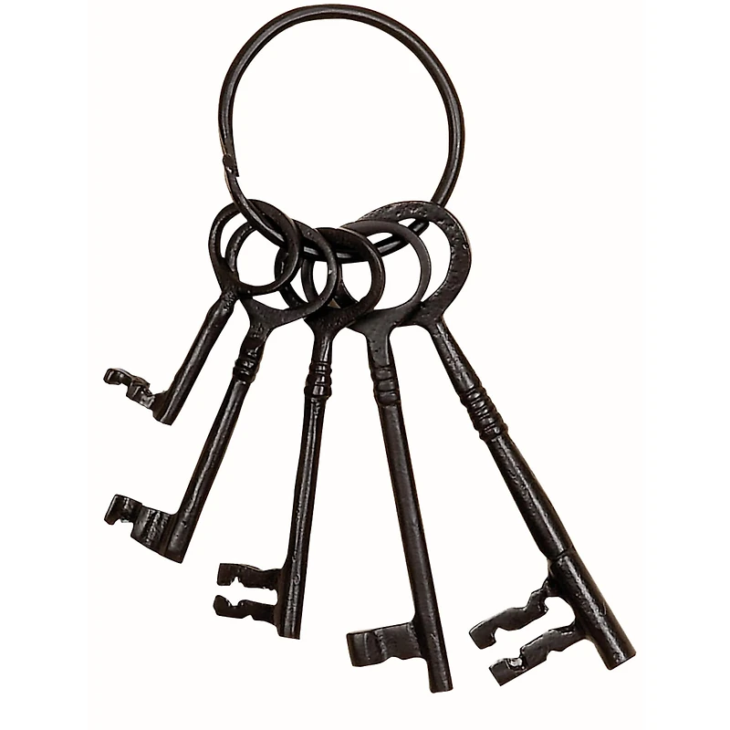 The Novogratz Set of 5" Black Aluminum Industrial Keys, 8" x 3"