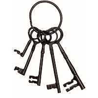 The Novogratz Set of 5" Black Aluminum Industrial Keys, 8" x 3"
