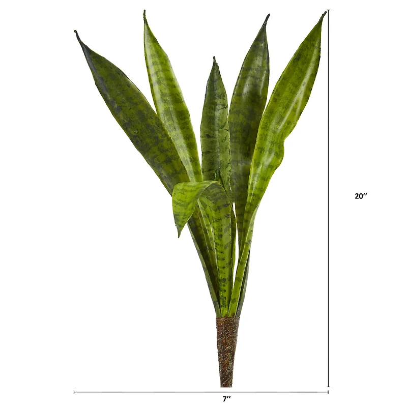 Snake Plant Pick, 6ct.
