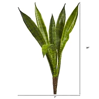 Snake Plant Pick, 6ct.