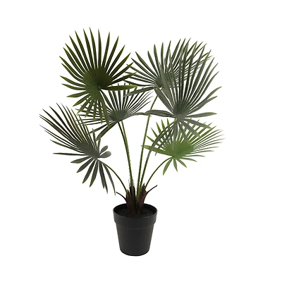 24" Potted Green Fan Palm Plant by Ashland®