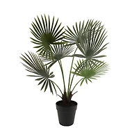 24" Potted Green Fan Palm Plant by Ashland®