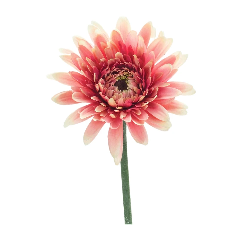 22" Gerbera Daisy Floral Stem, 6ct.