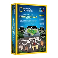 National Geographic™ Glow-in-the-Dark Gecko Dissection Lab
