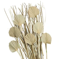 3ft. Brown Dried Plant Palm Leaf Natural Foliage with Grass