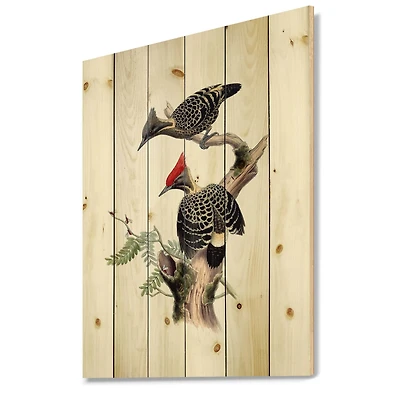 Designart - Vintage Birds In The Wild VI