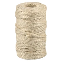 12 Pack: 3mm Ivory Jute Twine by Ashland™