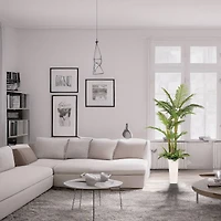 6ft. Artificial Areca Palm Tree in White Decorative Pot