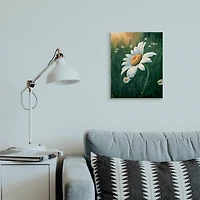 Stupell Industries Daisy Details in Field Canvas Wall Art