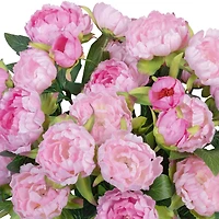 21" Pink Peony Deluxe Bush by Ashland®