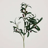 28" Olive Branch Stems, 3ct.