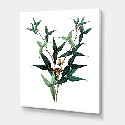 Designart - Vintage Green Leaves Plants VIII