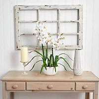 2.5ft. White Boat Orchid in White Vase
