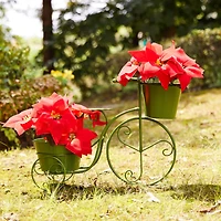 Glitzhome® 21.5'' Green Metal Bicycle Plant Stand