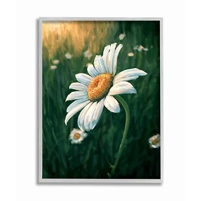 Stupell Industries Daisy Details in Field of Spring Flowers Wall Accent with Gray Frame
