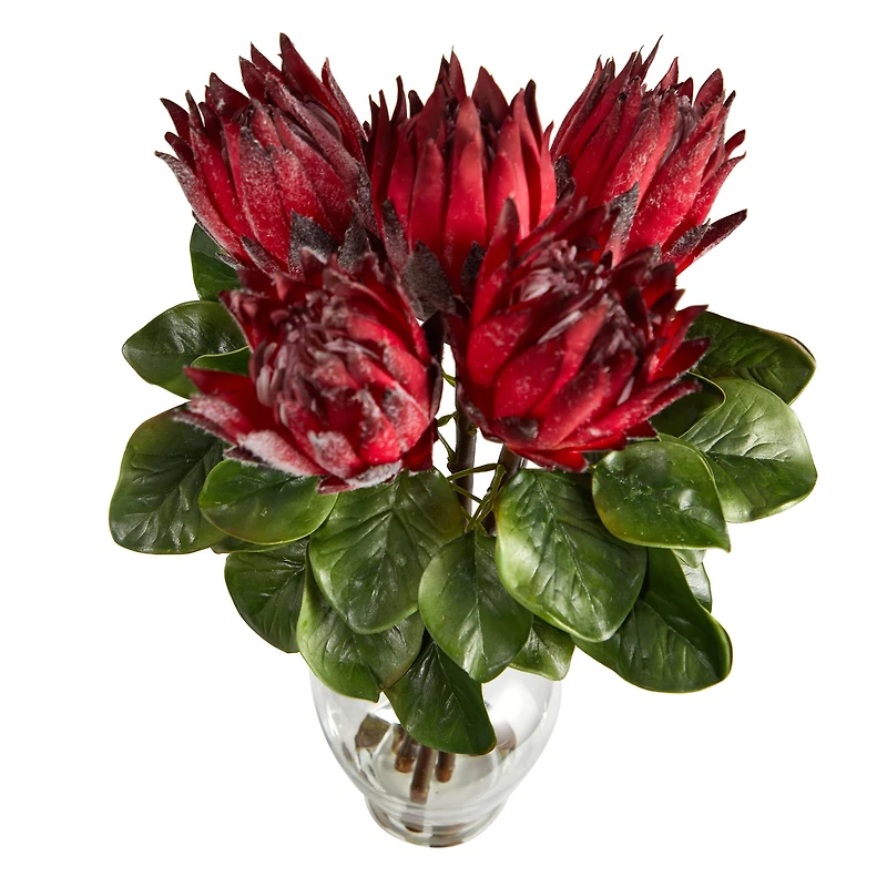 23" Red King Protea Arrangement in Glass Vase