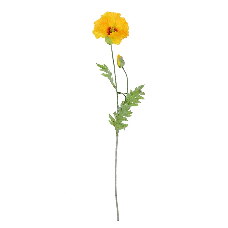 6 Pack: Yellow Poppy Stem
