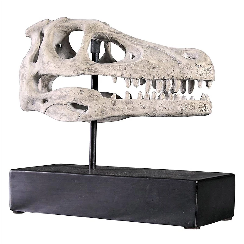Design Toscano 10.5" Velociraptor Dinosaur Skull Fossil Replica Statue