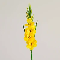 45" Yellow Gladiolus Flower Stems, 3ct.