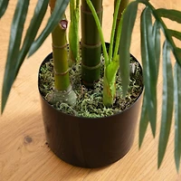 4ft. Potted UV Resistant Areca Palm Tree