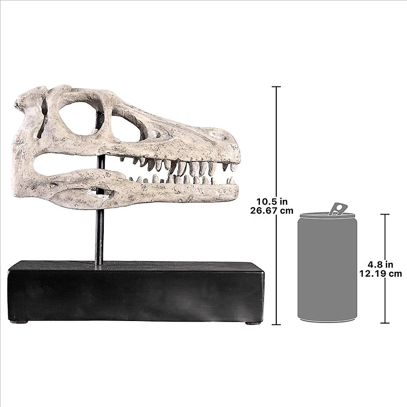 Design Toscano 10.5" Velociraptor Dinosaur Skull Fossil Replica Statue
